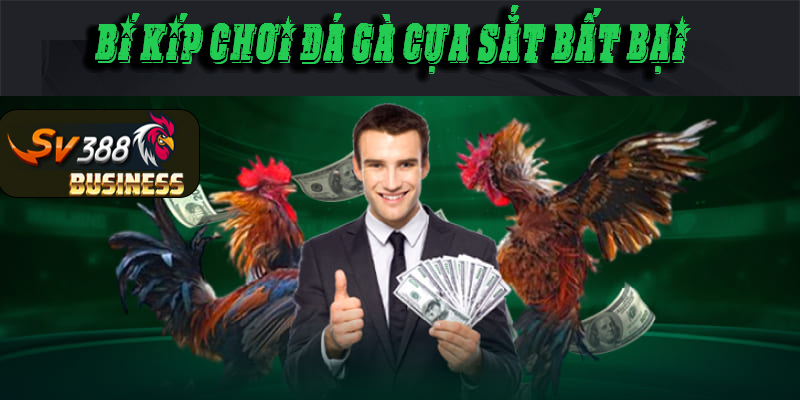 Có bí kíp nào chiến thắng khi cược đá gà tại sv388 